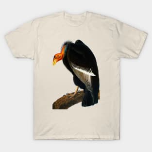 Audubon Californian Vulture T-Shirt